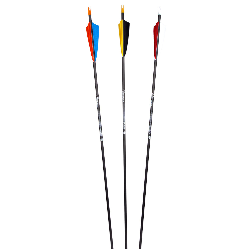 Bearpaw Penthalon Bandit Arrows - Vanes